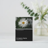 Carte De Visite Demi&demi photo 062 - Daisy (Debout devant)