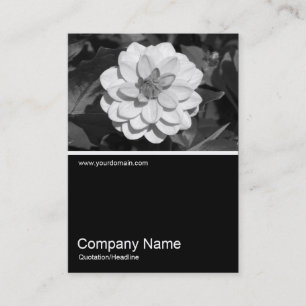 Carte De Visite Demi&mi photo 0291 - Dahlia 'David Howard'