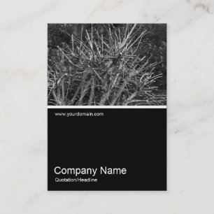 Carte De Visite Demi-mi-photo 0301 - Arbuste à grains arrondis