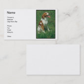 Carte de visite d'épagneul de Bretagne (Devant / Derrière)