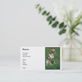 Carte de visite d'épagneul de Bretagne (Debout devant)