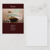 Carte de visite d'équilibre (Devant / Derrière)