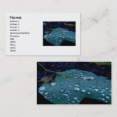 Carte de visite des chutes de pluie (Devant / Derrière)