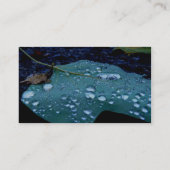 Carte de visite des chutes de pluie (Dos)