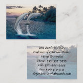 Carte de visite des dauphins de Floride (Devant / Derrière)