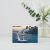 Carte de visite des dauphins de Floride (Debout devant)