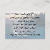 Carte de visite des dauphins de Floride (Dos)