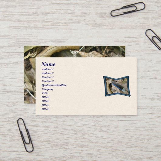 Carte de visite des éléments de coordination de la (Devant/Arrière en situation)
