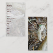 Carte de visite des éléments de coordination du ch (Devant / Derrière)