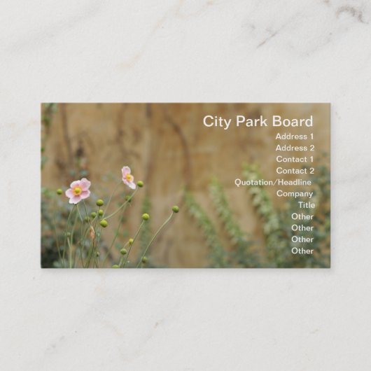 Carte De Visite Des fleurs roses contre un mur d'église (Devant)