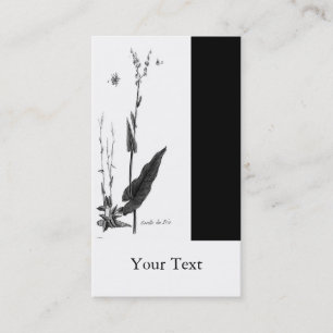 Carte De Visite DES Prés d'Oseille