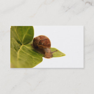Carte de visite d'escargot