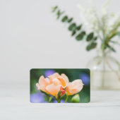 Carte De Visite désir (Debout devant)