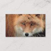 Carte de visite d'espèces de Fox (Dos)