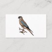 Carte De Visite dessin animé d'oiseau-kestrel américain (Dos)