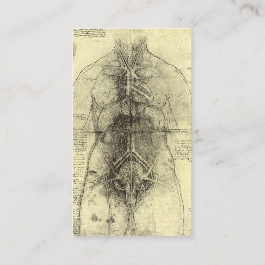 Carte De Visite Dessin d'une femme Torso par Leonardo da Vinci (Dos)