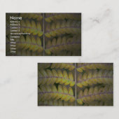 Carte De Visite Détail abstrait de fougère (Devant / Derrière)