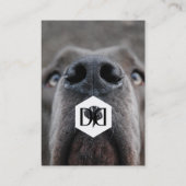 Carte De Visite Deutsche Doggen Visitenkarten (Dos)
