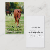 Carte De Visite Deux chevaux Brown sur le pâturage (Devant / Derrière)