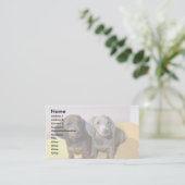 Carte De Visite Deux petits Dachshund (Debout devant)