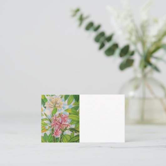 Carte De Visite Deux plumères (Debout devant)