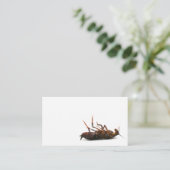 Carte de visite d'exterminateur (Debout devant)