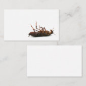 Carte de visite d'exterminateur (Devant / Derrière)