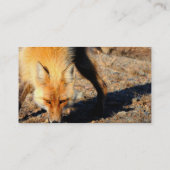 Carte de visite d'habitat de Fox rouge (Dos)