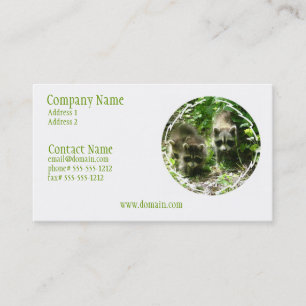 Carte de visite d'habitat de raton laveur