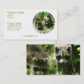 Carte de visite d'habitat de raton laveur (Devant / Derrière)