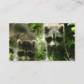 Carte de visite d'habitat de raton laveur (Dos)