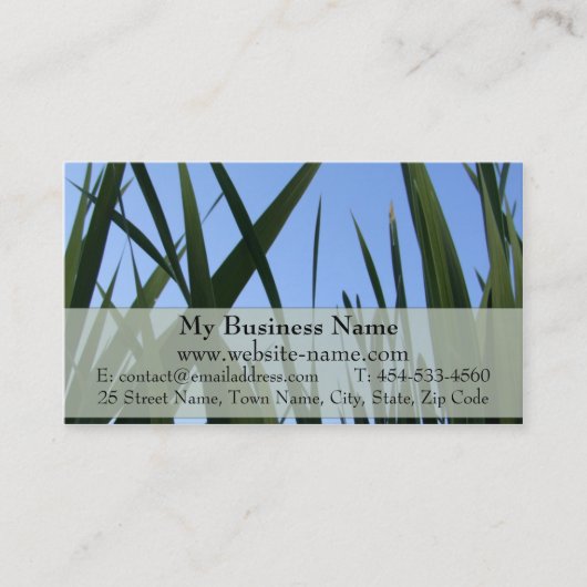 Carte de visite d'herbe (Devant)