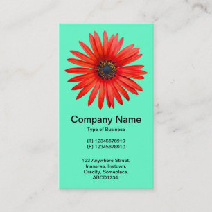 Carte De Visite Diable Rouge - Turquoise