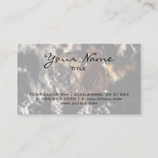 Carte De Visite Diamant, Fumé