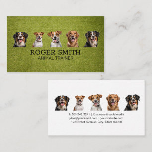 Carte De Visite Différents Chiens Souriant   Entraînement des chie