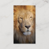 Carte de visite d'image de lion (Dos)