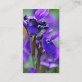 Carte de visite d'iris (Dos)