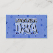 Carte De Visite DIVA crêtée chinoise (Dos)