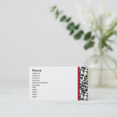 Carte de visite divin de damassé (Debout devant)