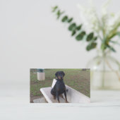 Carte De Visite doberman pinting (Debout devant)