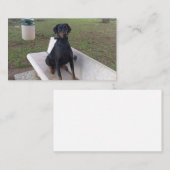 Carte De Visite doberman pinting (Devant / Derrière)