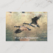 Carte de visite d'oies du Canada (Dos)