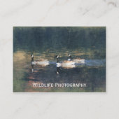 Carte de visite d'oies du Canada (Dos)