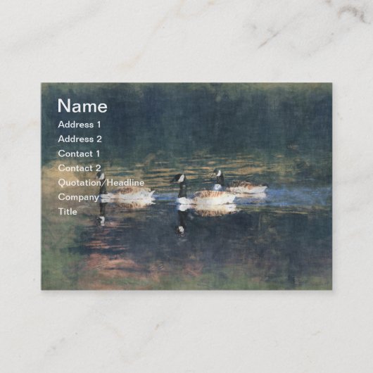 Carte de visite d'oies du Canada (Devant)