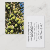 Carte de visite d'olives (Devant / Derrière)