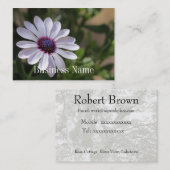 Carte de visite d'Osteospermum (Devant / Derrière)