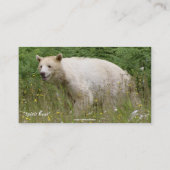 Carte de visite d'ours Kermode (Dos)