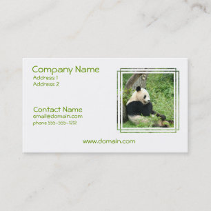 Carte de visite d'ours panda