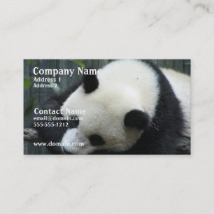 Carte de visite d'ours panda