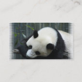 Carte de visite d'ours panda (Dos)